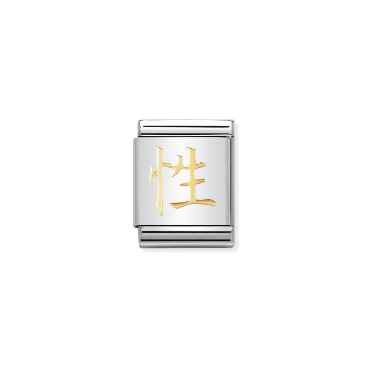 Звено Nomination Chinese Symbols  из стали