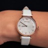 Годинник Emporio Armani AR2042